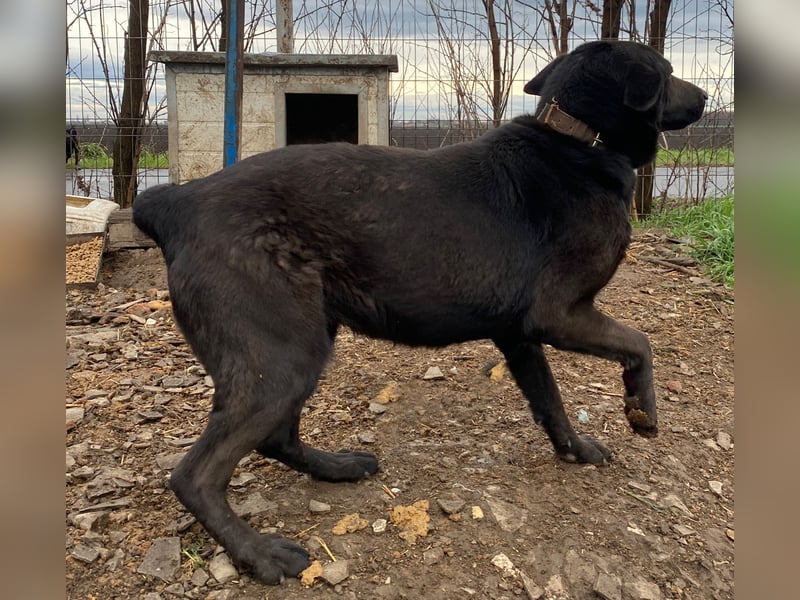 Himerra - lernwillig und neugierig