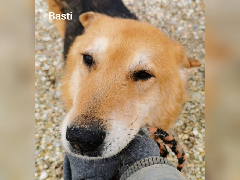 Basti möchte endlich Gras unter den Pfoten spüren dürfen