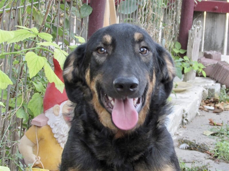 Hugo