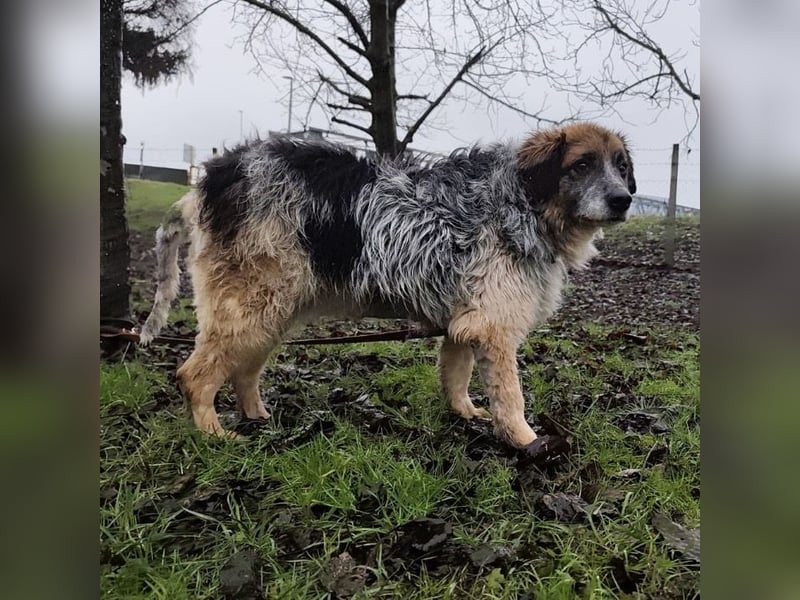 Olga - Augen sind der Spiegel ihrer Seele