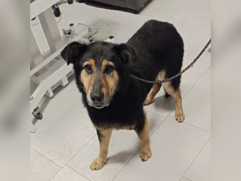 Otto schon eine Ewigkeit hinter Gittern