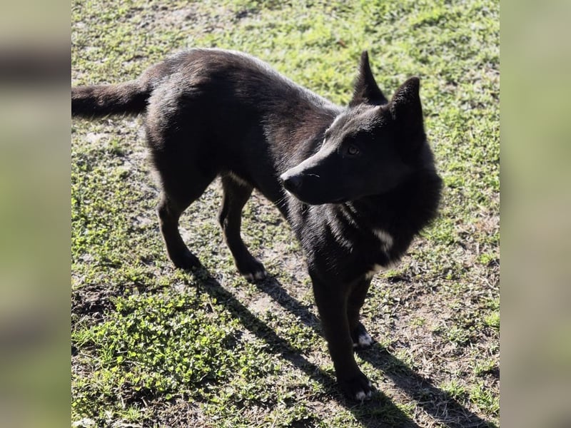 Ante ein wunderhübscher Kerl
