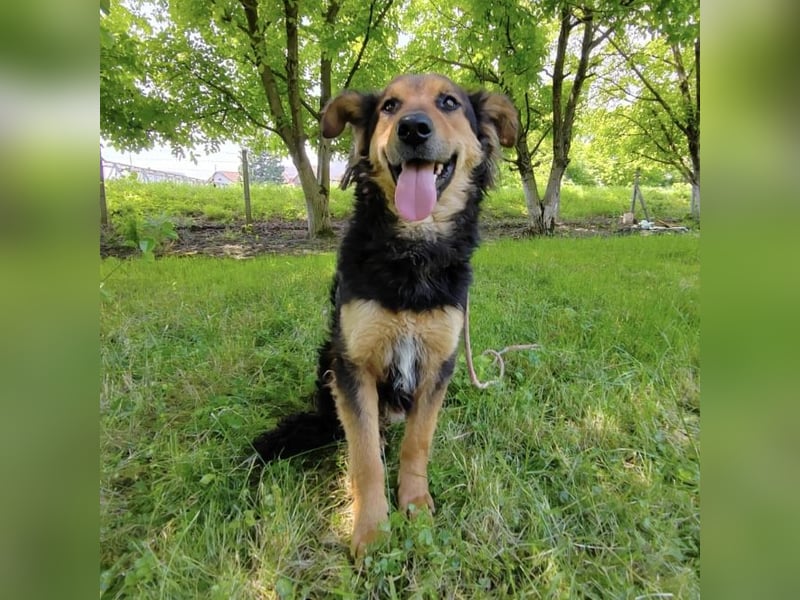 Kovu braucht viel Liebe