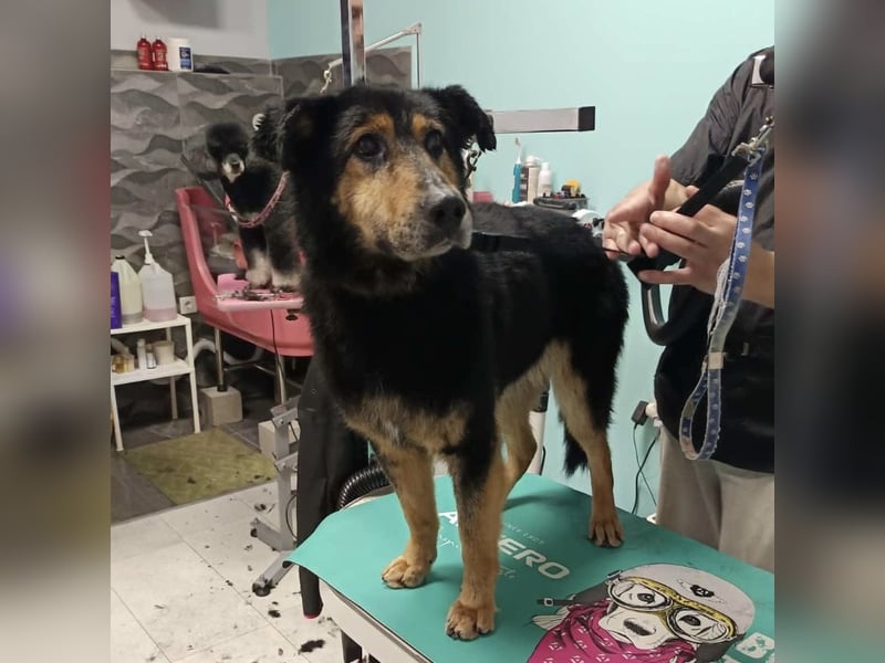 Otto schon eine Ewigkeit hinter Gittern