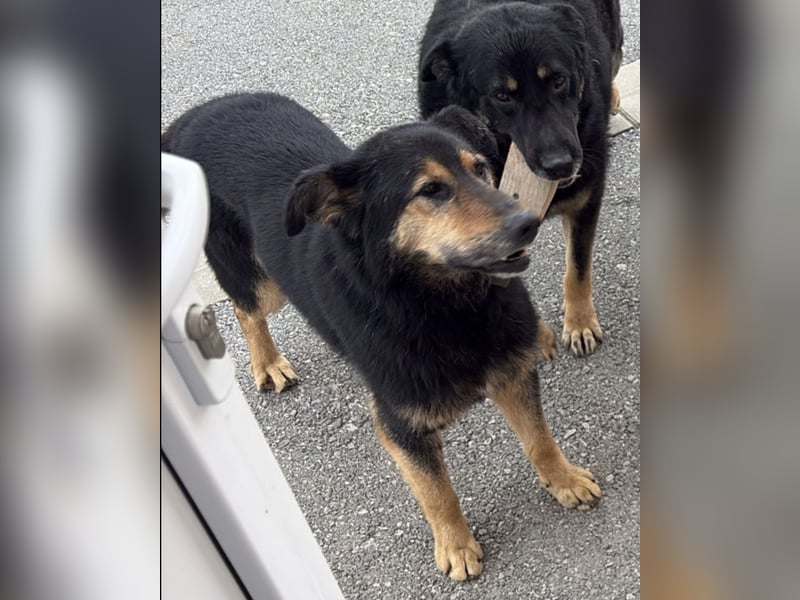 Otto schon eine Ewigkeit hinter Gittern