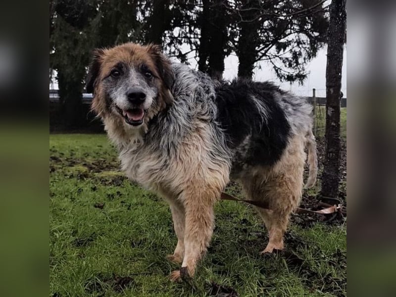 Olga - Augen sind der Spiegel ihrer Seele