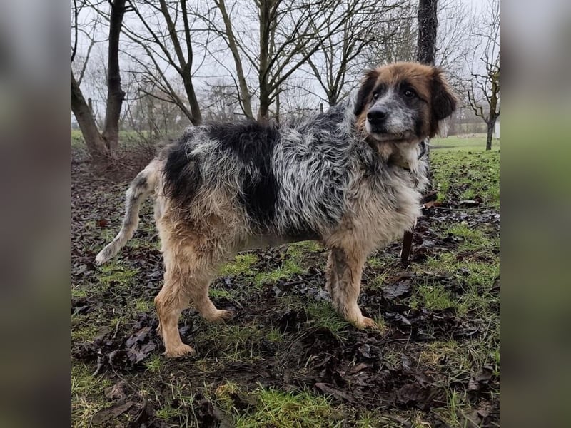 Olga - Augen sind der Spiegel ihrer Seele