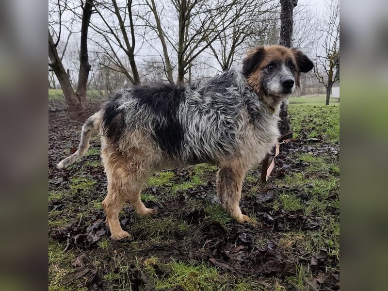 Olga - Augen sind der Spiegel ihrer Seele