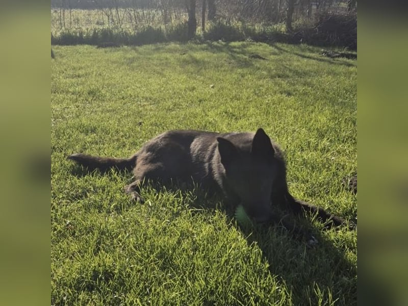 Ante ein wunderhübscher Kerl