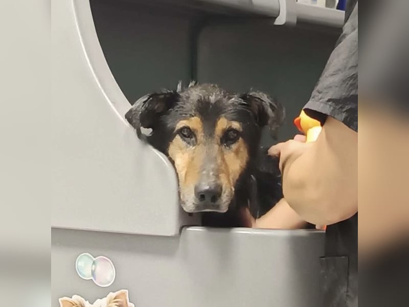 Otto schon eine Ewigkeit hinter Gittern