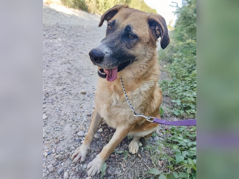 Esther eine wundervolle Seele