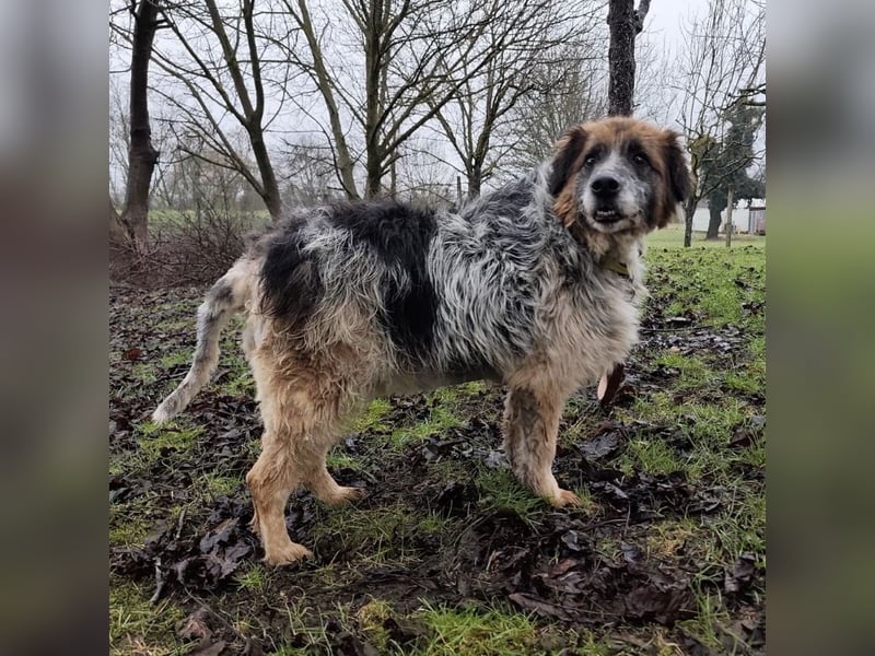 Olga - Augen sind der Spiegel ihrer Seele