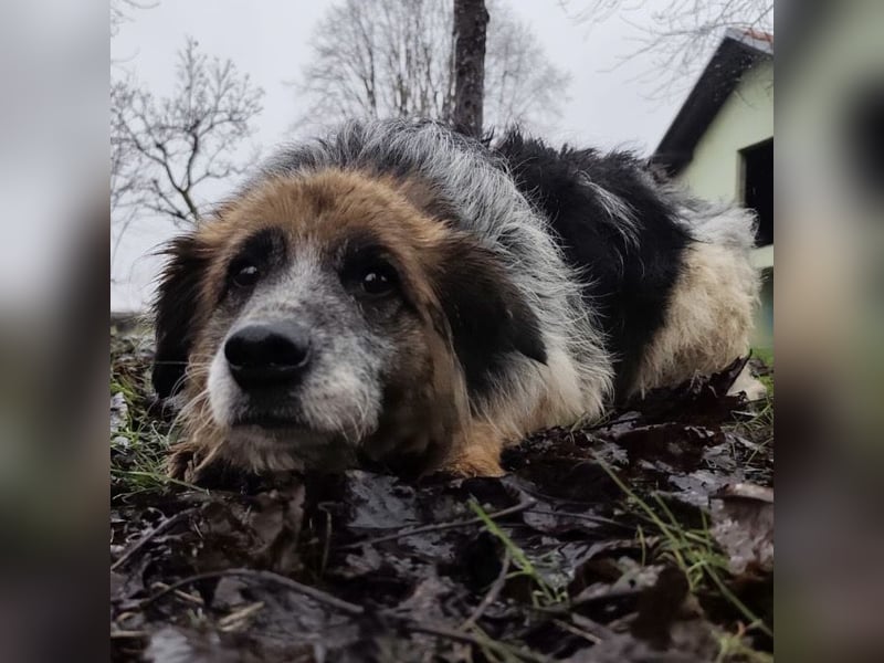 Olga - Augen sind der Spiegel ihrer Seele