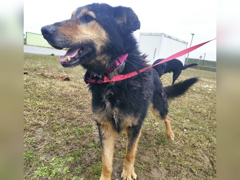 Otto schon eine Ewigkeit hinter Gittern