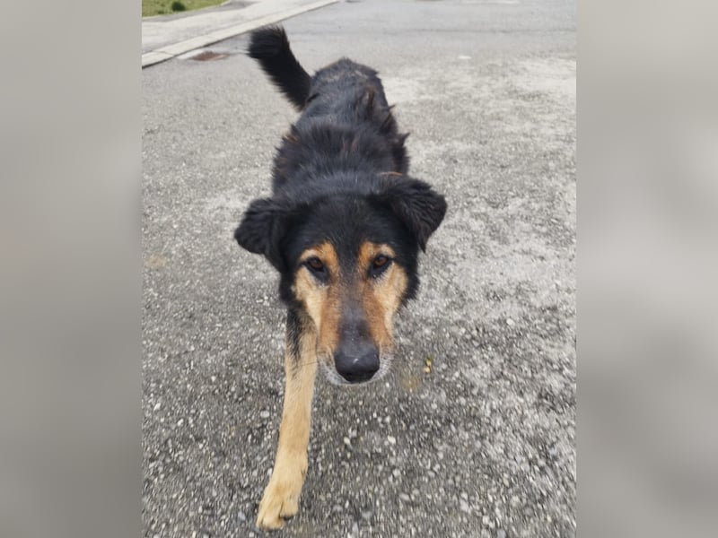 Otto schon eine Ewigkeit hinter Gittern