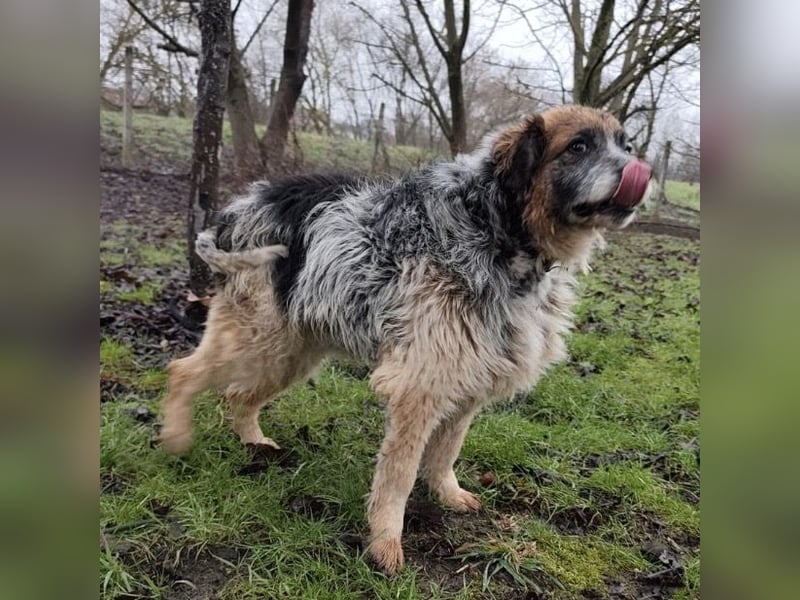 Olga - Augen sind der Spiegel ihrer Seele