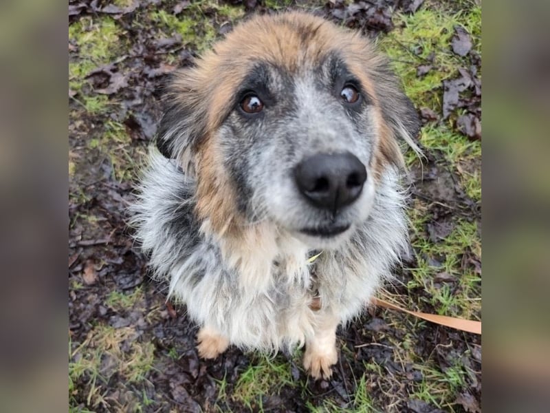 Olga - Augen sind der Spiegel ihrer Seele