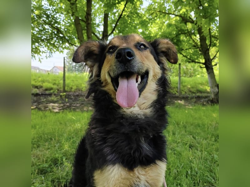 Kovu braucht viel Liebe