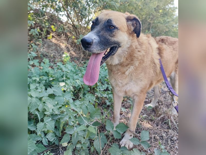 Esther eine wundervolle Seele