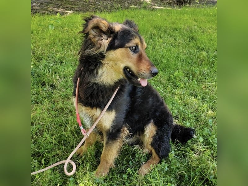 Kovu braucht viel Liebe