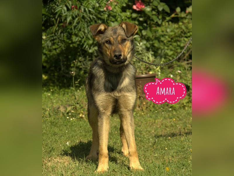 Amara ein zartes Wesen