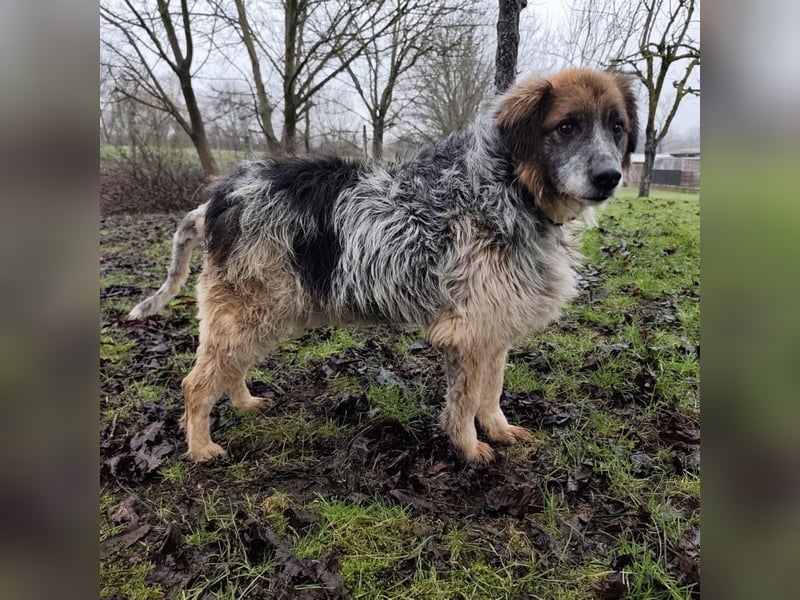 Olga - Augen sind der Spiegel ihrer Seele