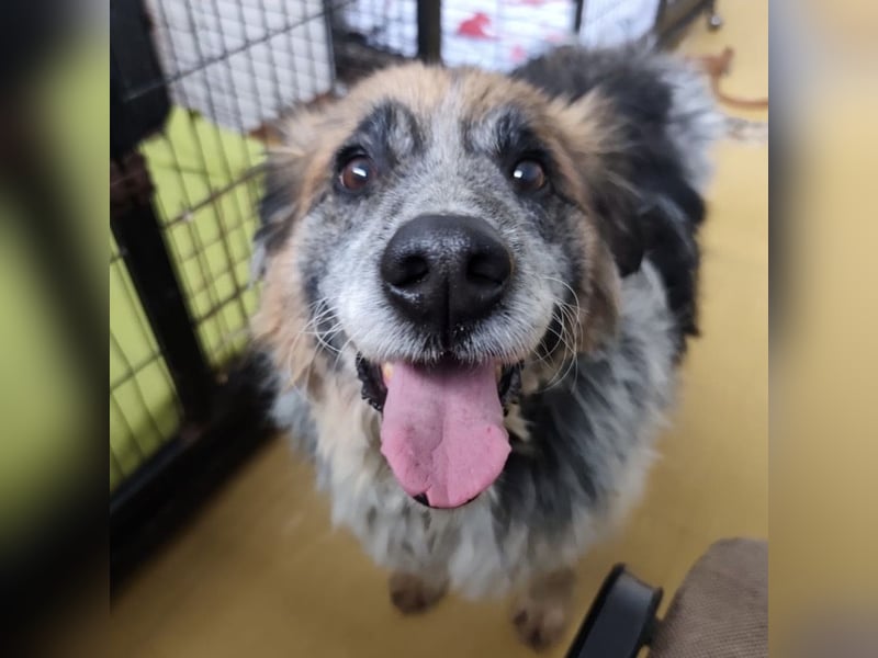 Olga - Augen sind der Spiegel ihrer Seele