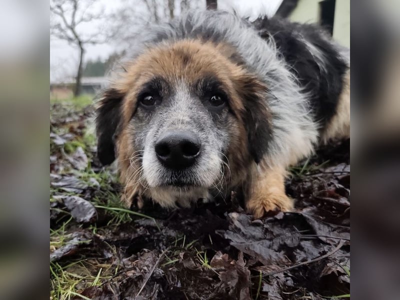 Olga - Augen sind der Spiegel ihrer Seele