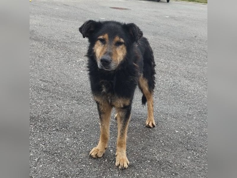 Otto schon eine Ewigkeit hinter Gittern