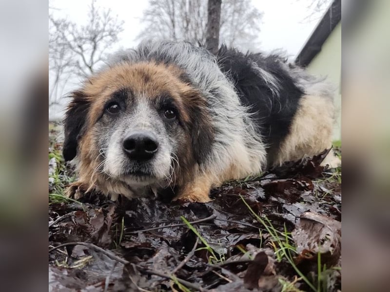 Olga - Augen sind der Spiegel ihrer Seele
