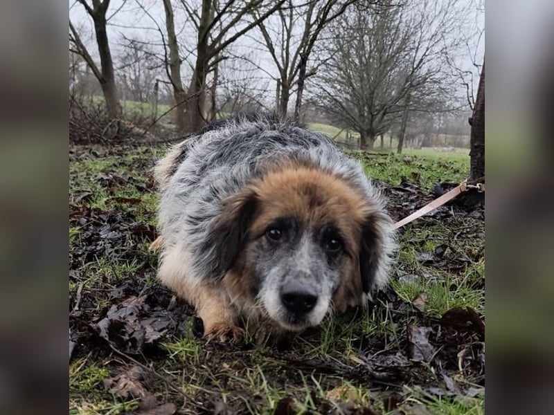 Olga - Augen sind der Spiegel ihrer Seele