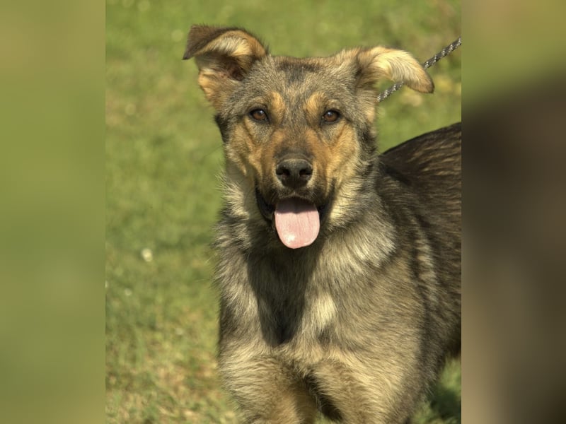 Amara ein zartes Wesen