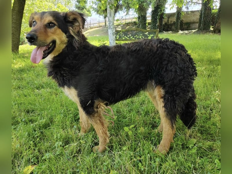 Kovu braucht viel Liebe