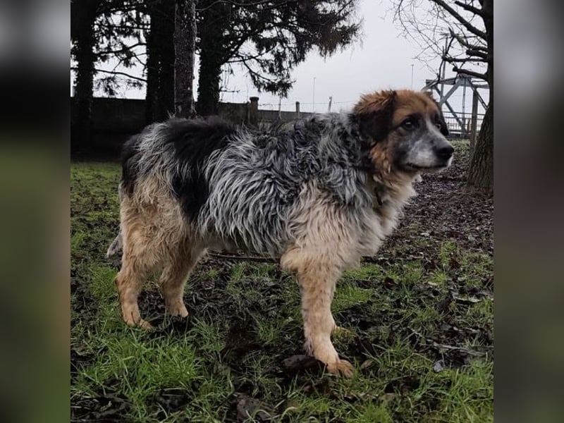 Olga - Augen sind der Spiegel ihrer Seele