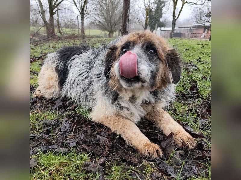 Olga - Augen sind der Spiegel ihrer Seele