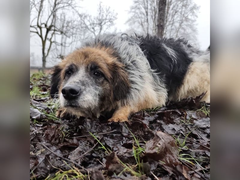 Olga - Augen sind der Spiegel ihrer Seele