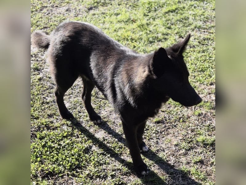 Ante ein wunderhübscher Kerl