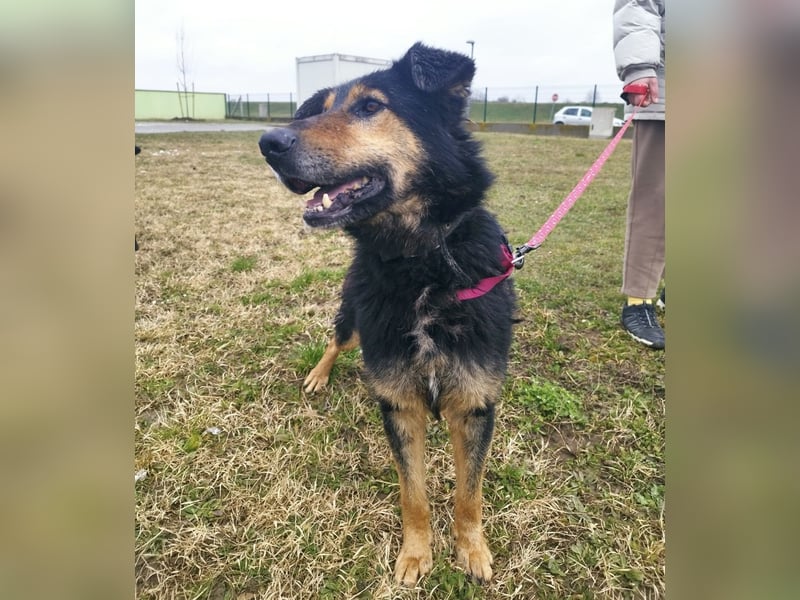 Otto schon eine Ewigkeit hinter Gittern