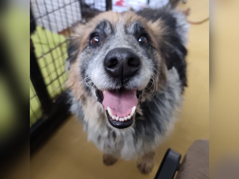 Olga - Augen sind der Spiegel ihrer Seele