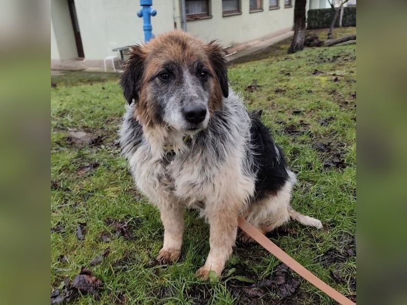 Olga - Augen sind der Spiegel ihrer Seele