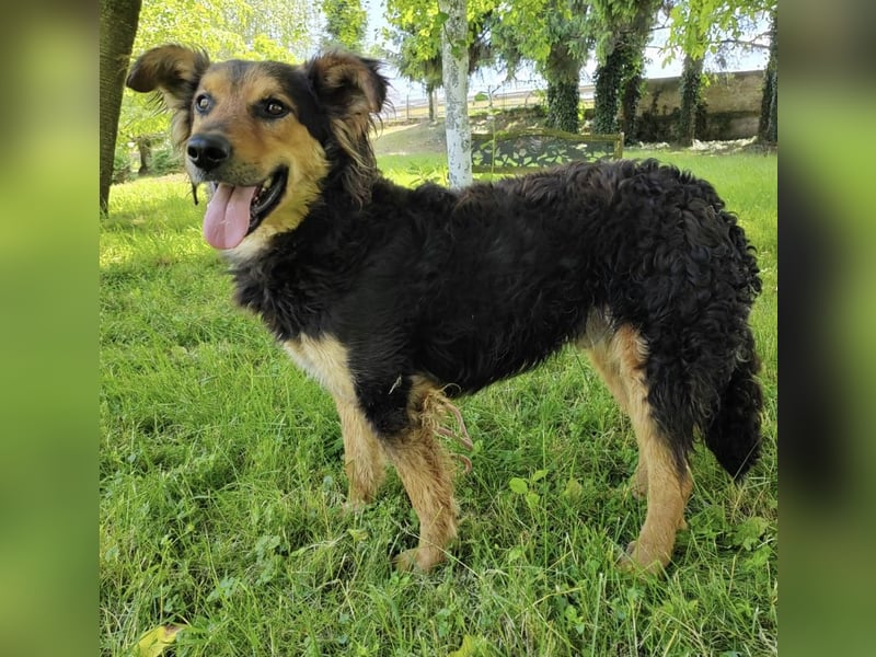 Kovu braucht viel Liebe