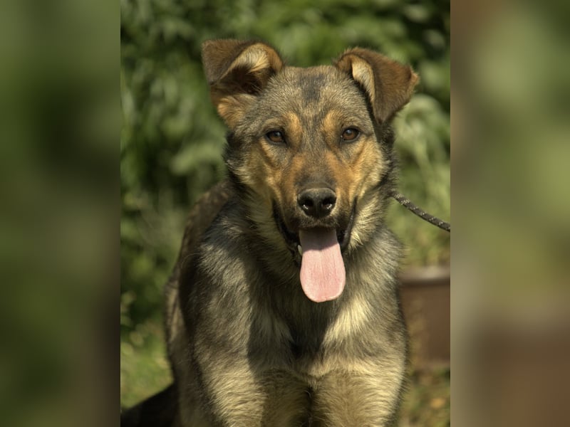 Amara ein zartes Wesen