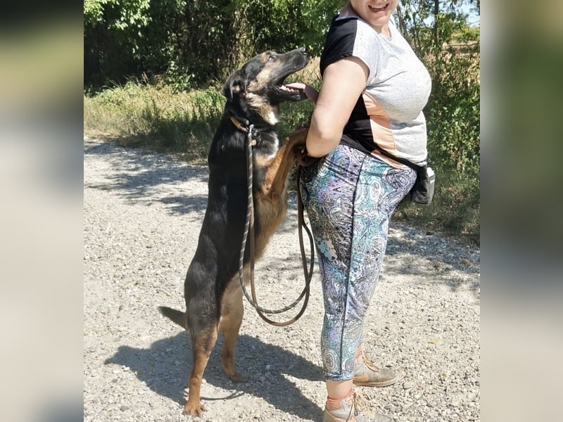 Clio wartet seit Welpenalter