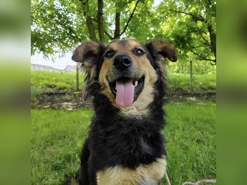 Kovu braucht viel Liebe