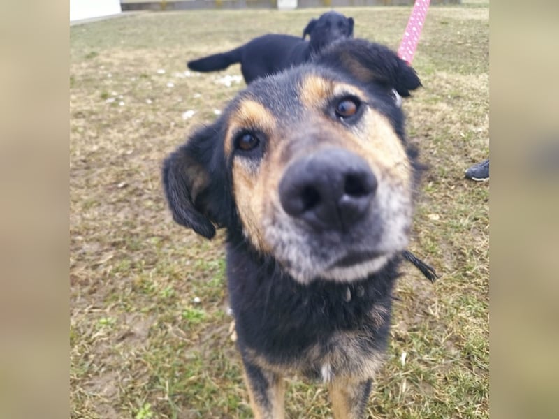 Otto schon eine Ewigkeit hinter Gittern