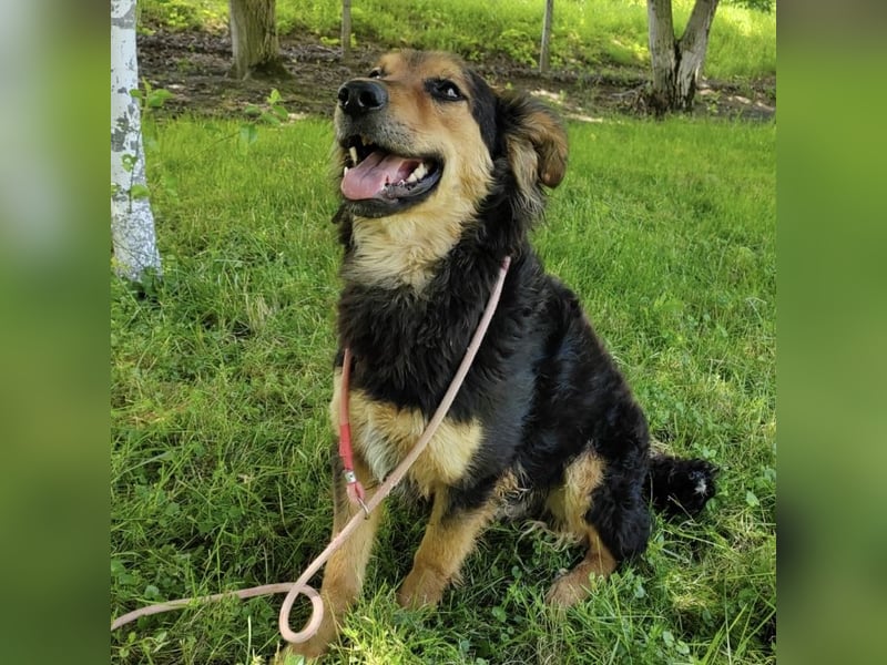 Kovu braucht viel Liebe