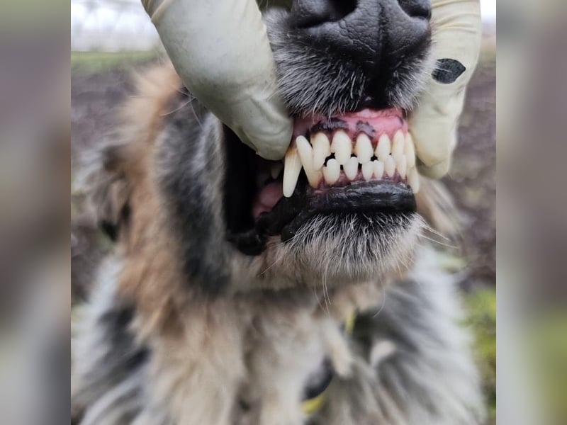 Olga - Augen sind der Spiegel ihrer Seele