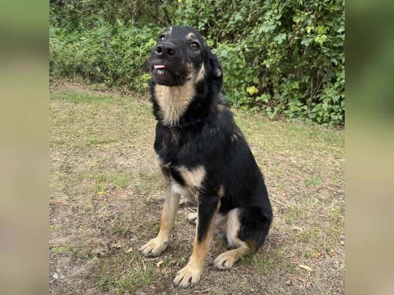 Val der allerliebste