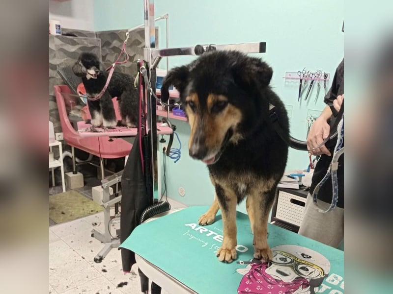 Otto schon eine Ewigkeit hinter Gittern