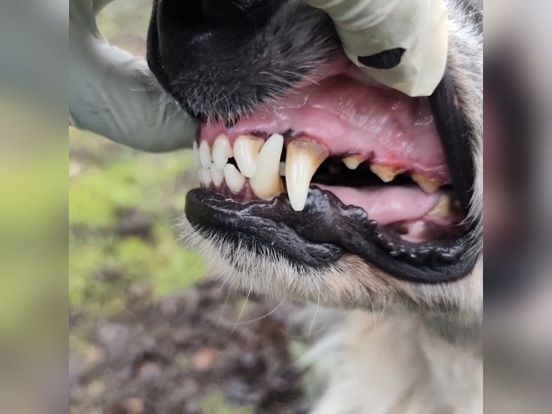 Olga - Augen sind der Spiegel ihrer Seele